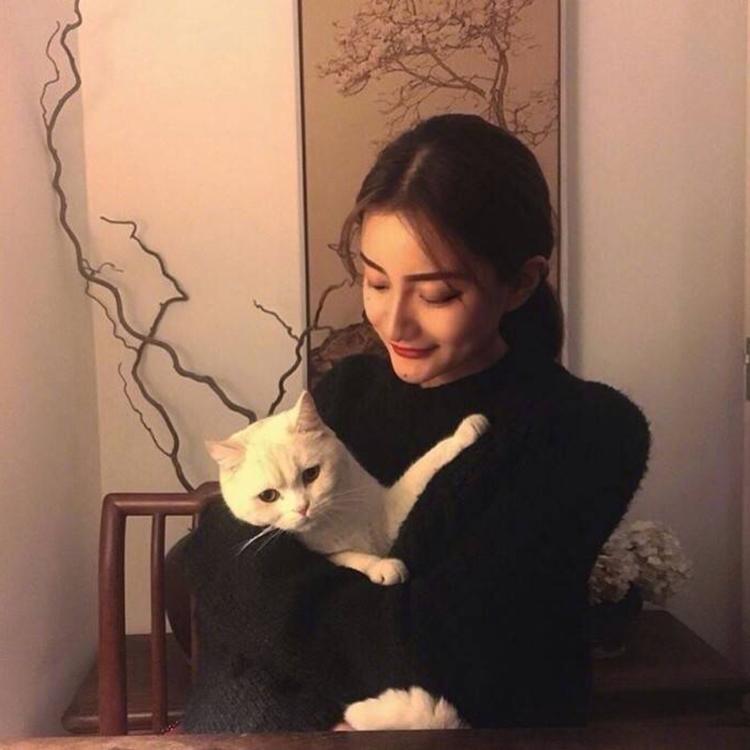 高荷惠（身份：会津女医生、曾被武田观柳禁锢制鸦片） - 体育精华回放在线观看 - 网络直播